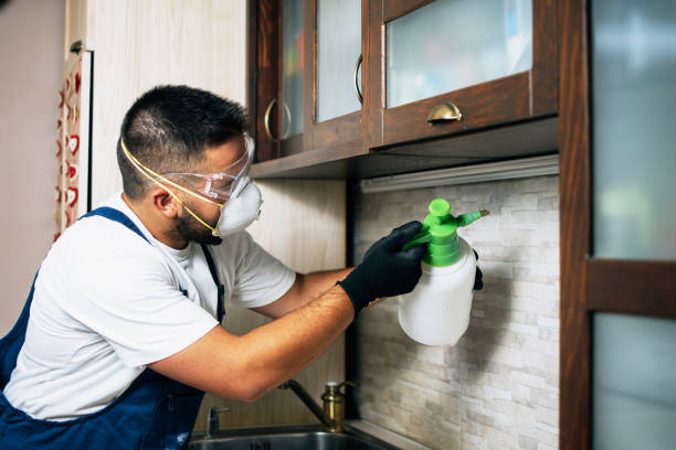 Trusted Linden, TX Pest Control Experts