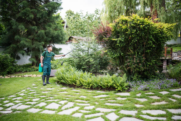 Best Residential Pest Control  in Linden, TX
