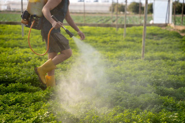 Best Affordable Pest Control Services  in Linden, TX
