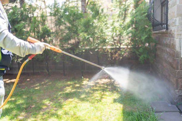 Best Pest Prevention Services  in Linden, TX