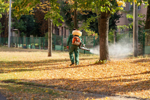Best Local Pest Control Services  in Linden, TX